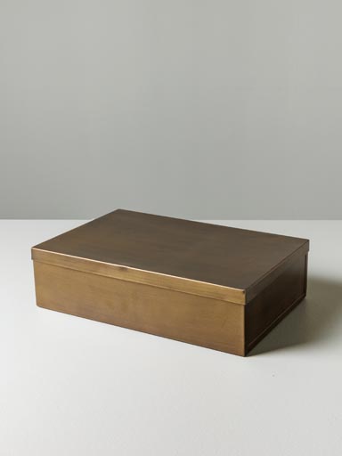 Large rectangular box bronze patina