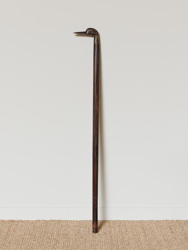 Walking stick in acacia with brass duck head