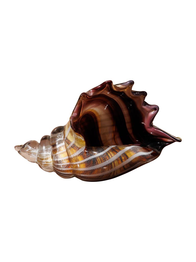 Glass paperweight brown shell - 3