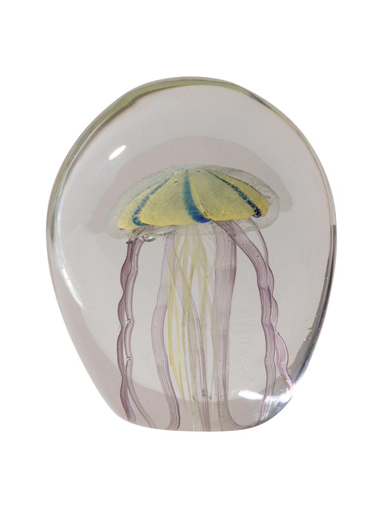 Paperweight flat tiger jellyfish - 2