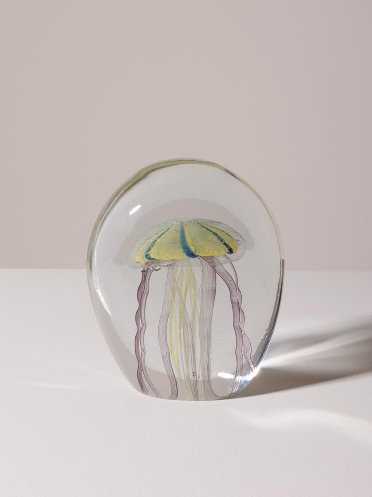 Paperweight flat tiger jellyfish - 1