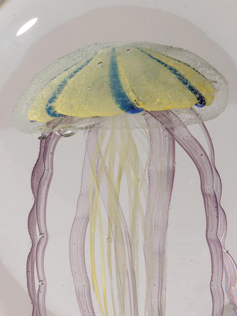 Paperweight flat tiger jellyfish - 3