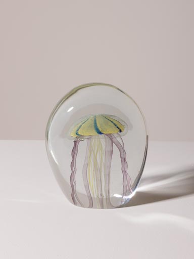 Paperweight flat tiger jellyfish