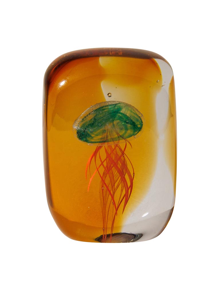 Paperweight tropical flat jellyfish - 2
