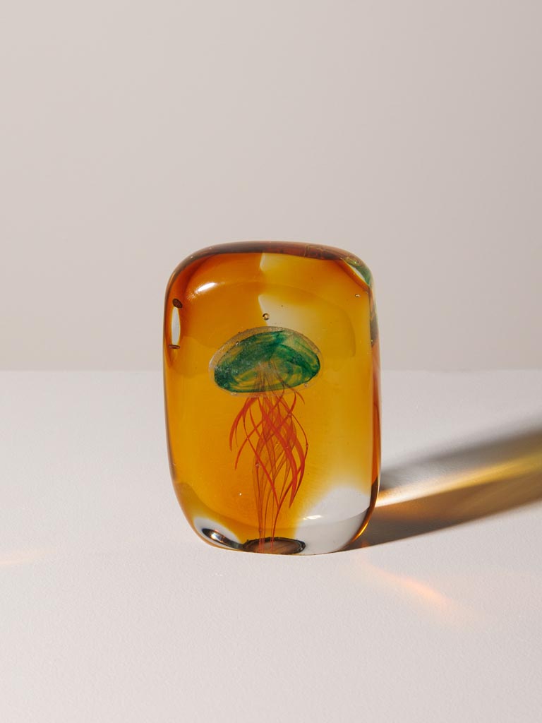 Paperweight tropical flat jellyfish - 3