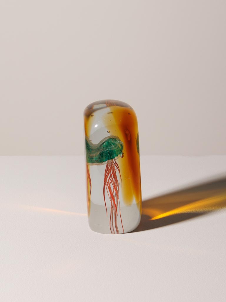 Paperweight tropical flat jellyfish - 5