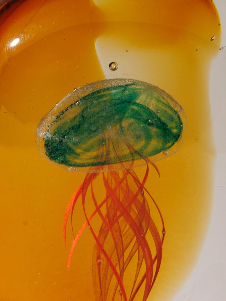 Paperweight tropical flat jellyfish - 4
