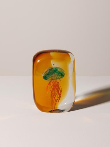 Paperweight tropical flat jellyfish