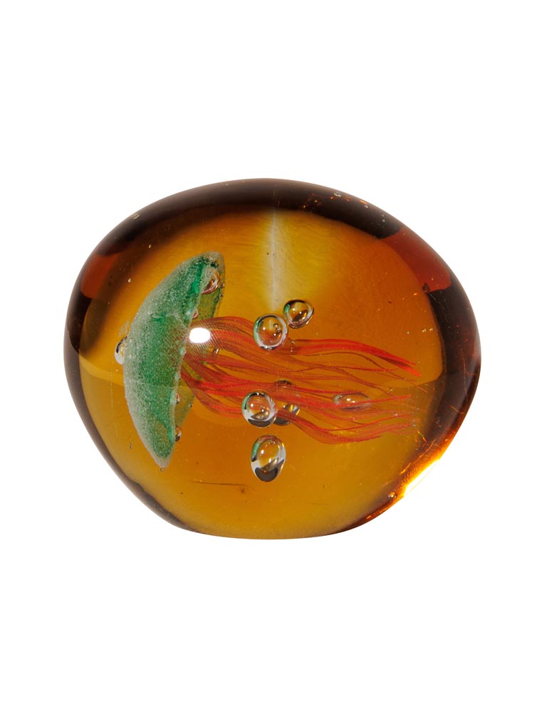 Paperweight tropical lying jellyfish - 2