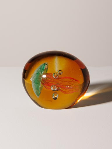 Paperweight tropical lying jellyfish