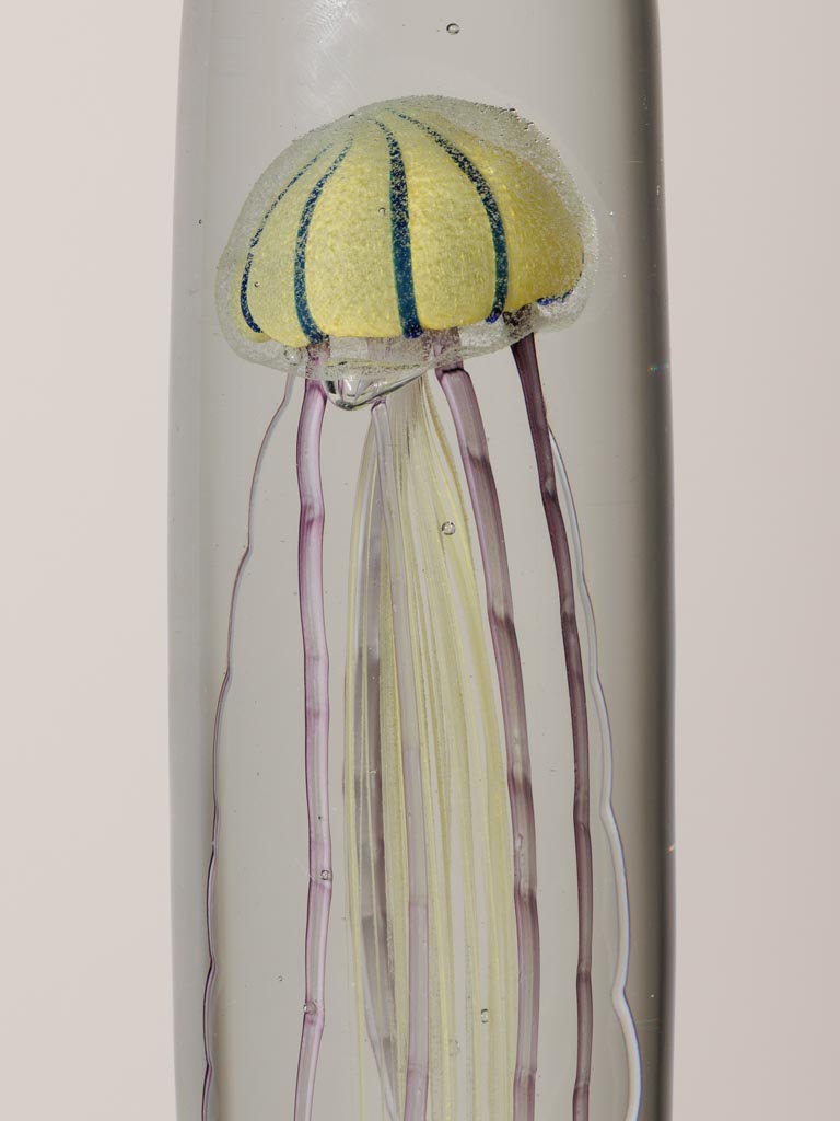 High paperweight tiger jellyfish - 4