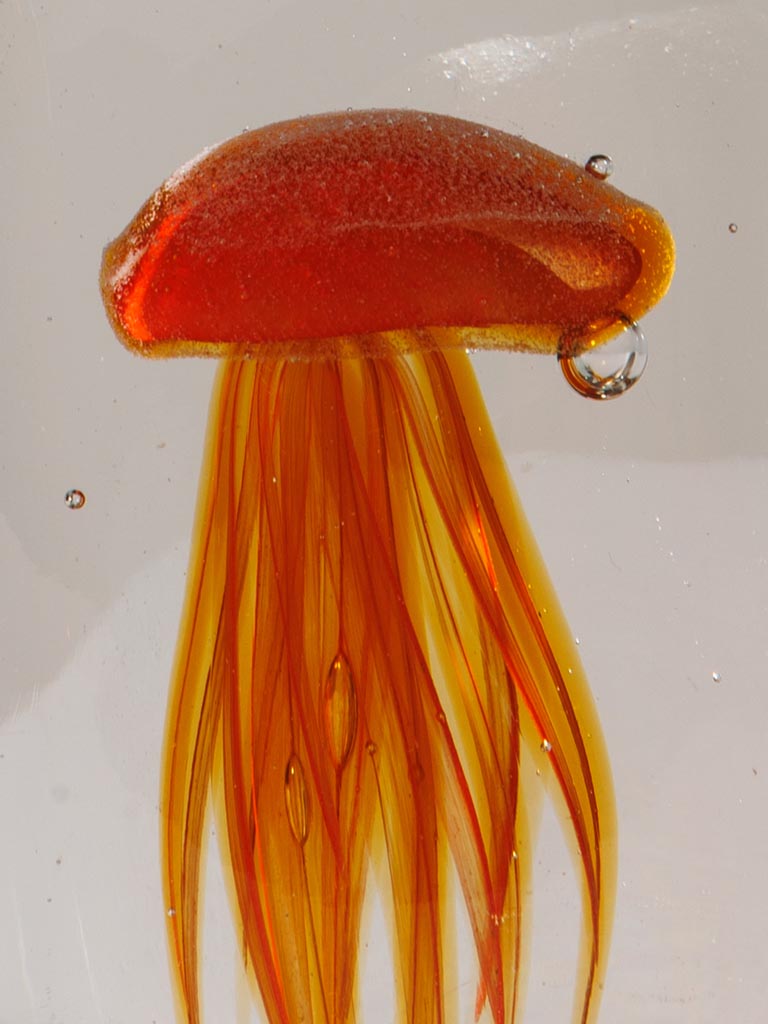 Paperweight orange flat jellyfish - 4