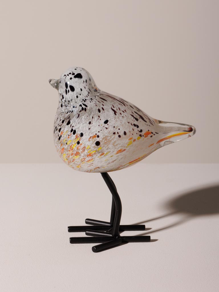 Oiseau moucheté orange sur pied - 5