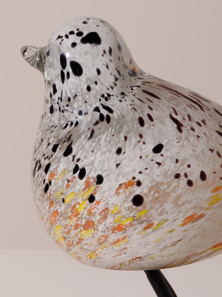 Oiseau moucheté orange sur pied - 4