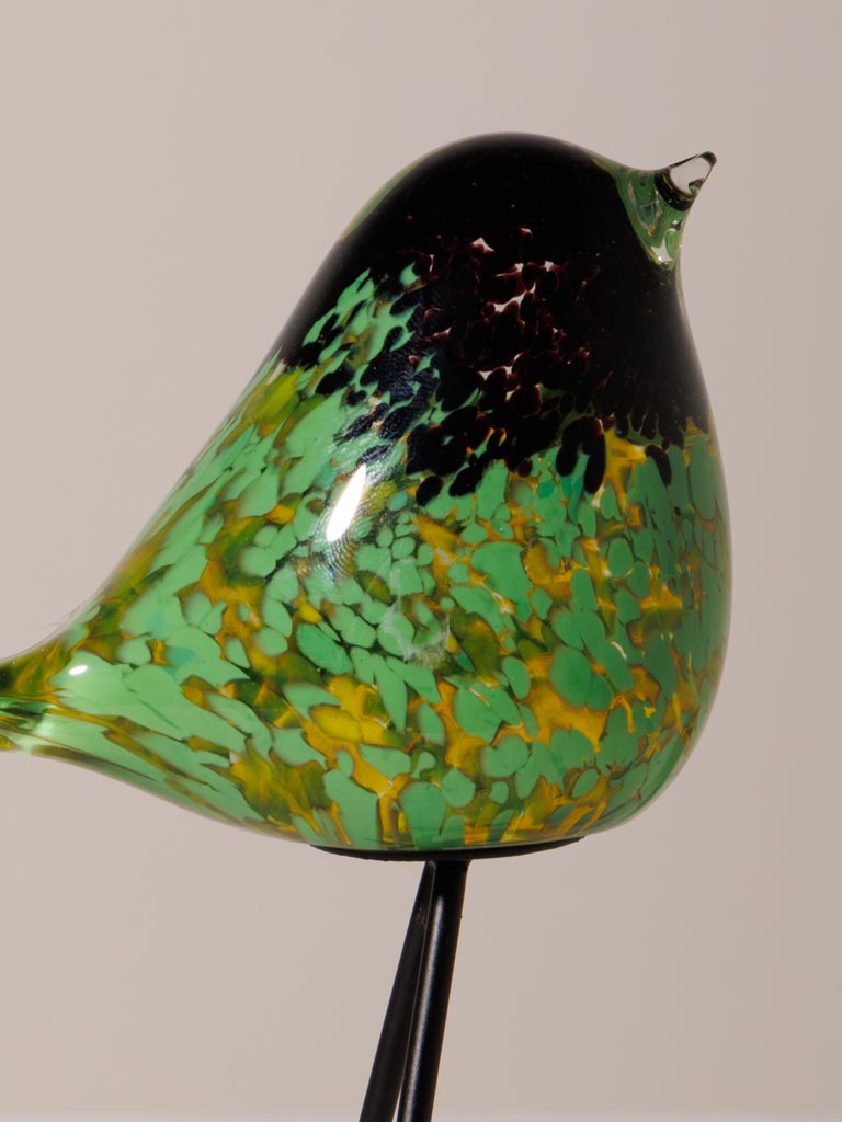 Oiseau vert moucheté noir sur pied - 4
