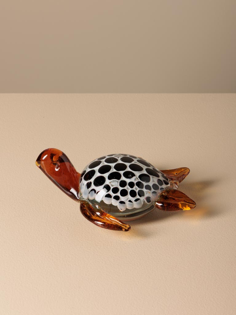 Dotted glass turtle - 1