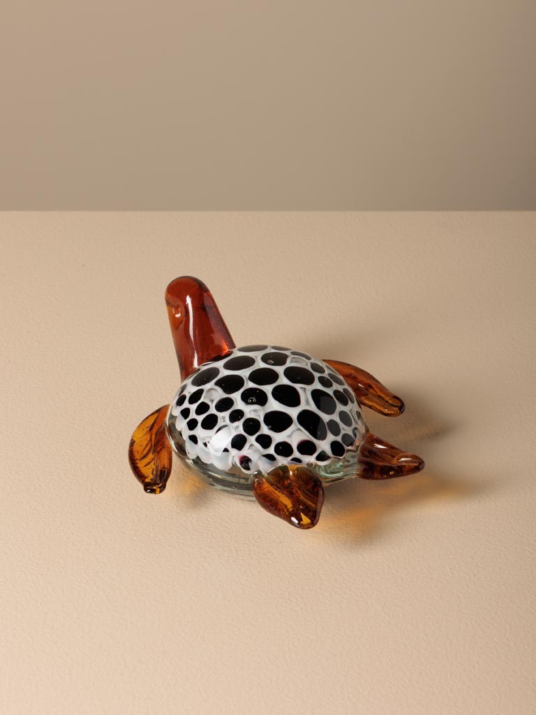 Dotted glass turtle - 3