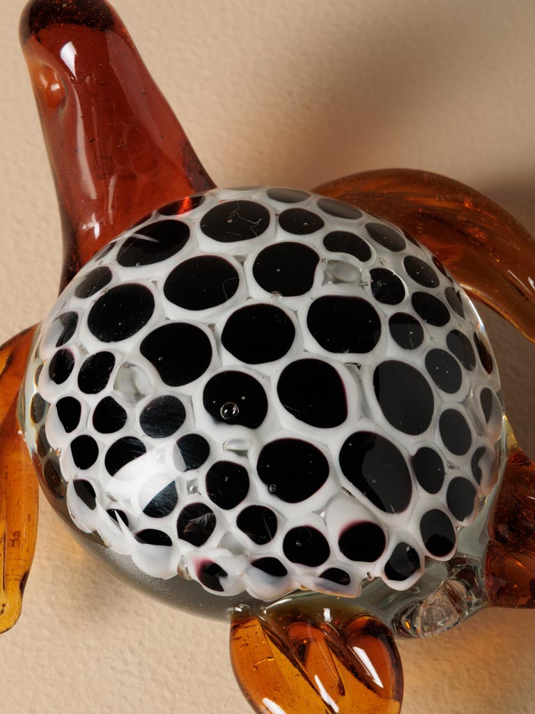 Dotted glass turtle - 5