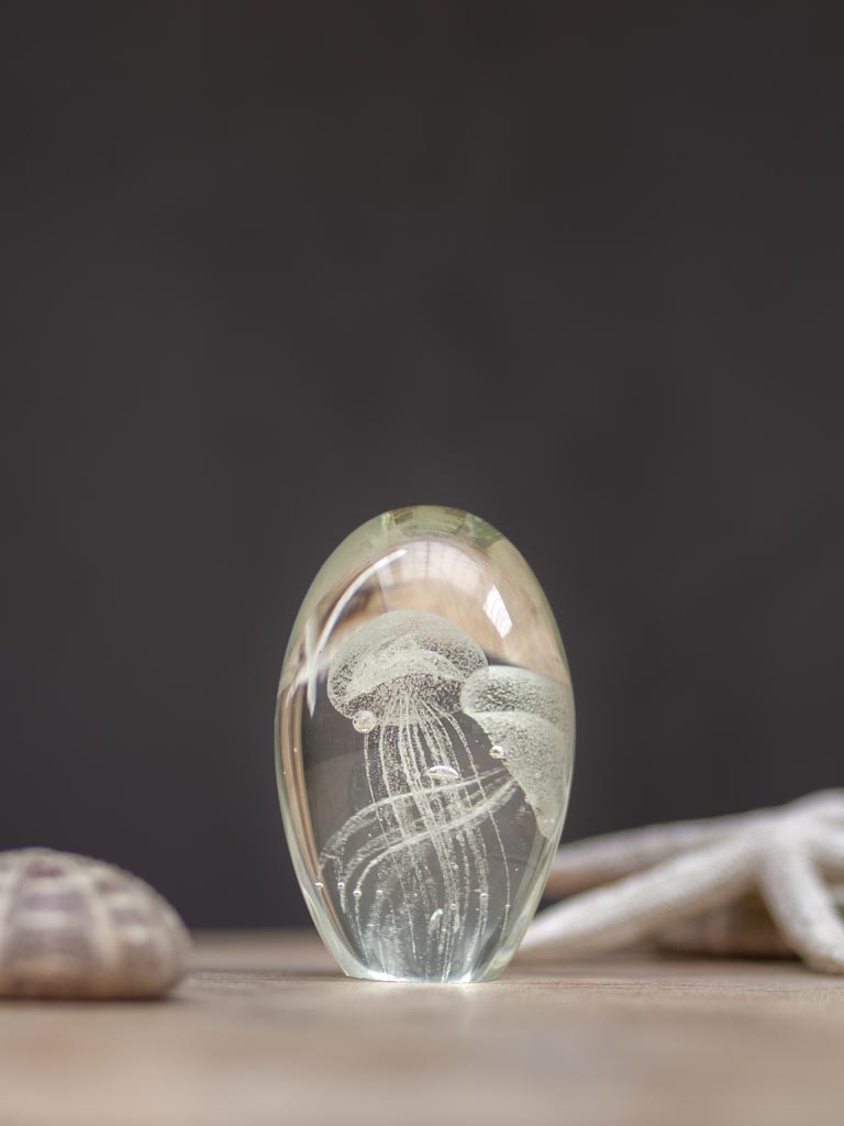 Paperweight jellyfish - 1