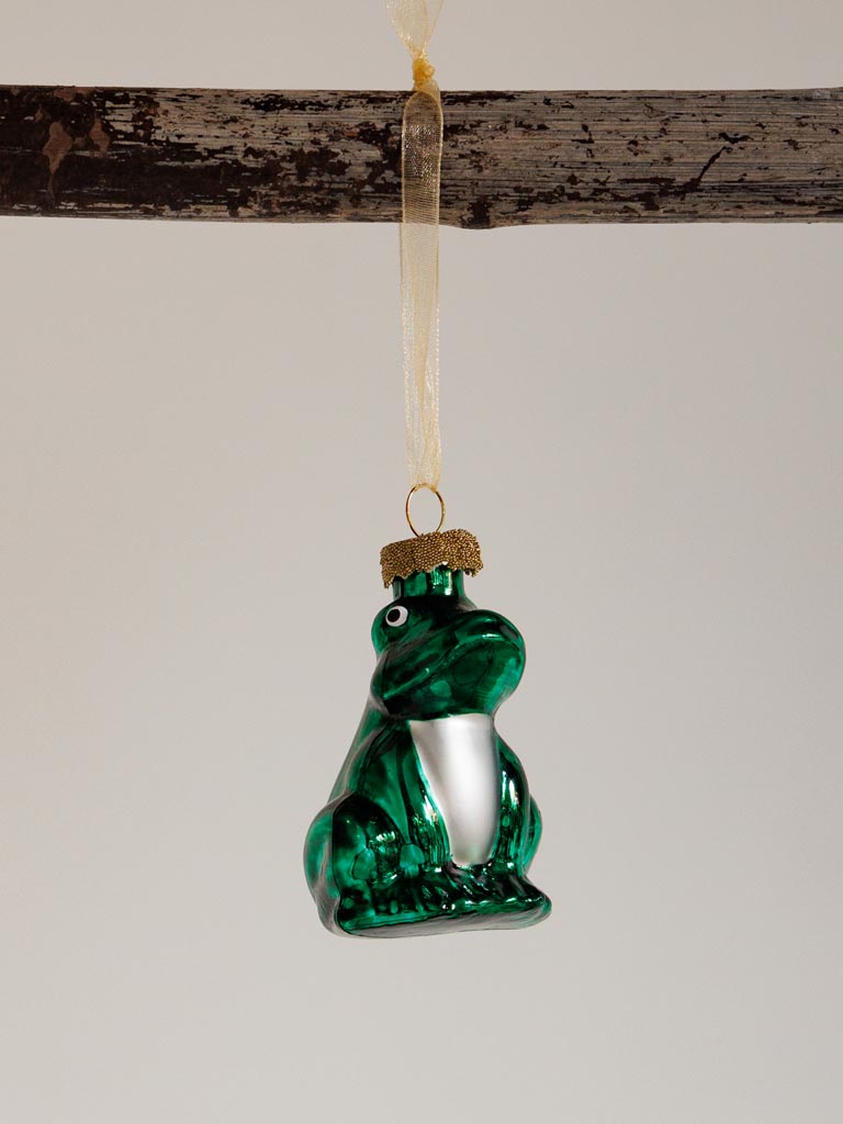 BN Grenouille verte - 1