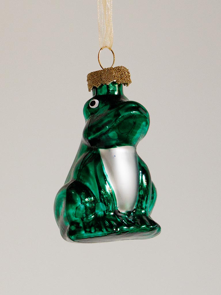 BN Grenouille verte - 3