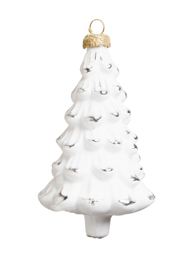 BN sapin blanc Blizzard - 2