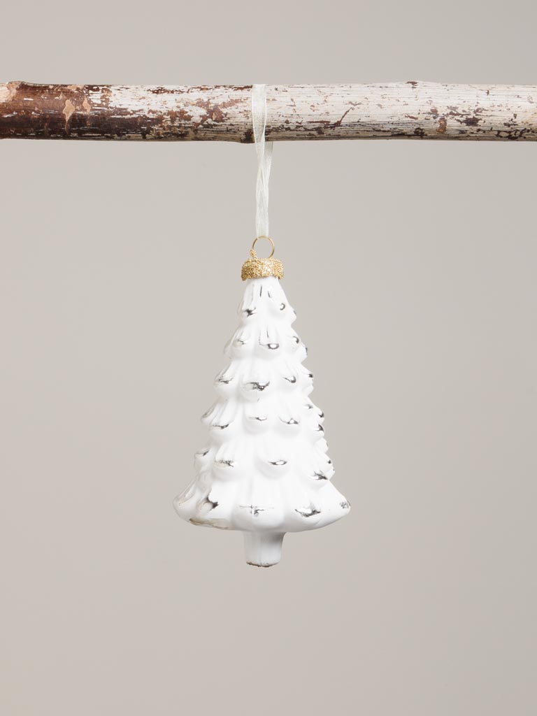 BN sapin blanc Blizzard - 3