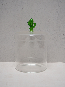 Glass jar with cactus cover