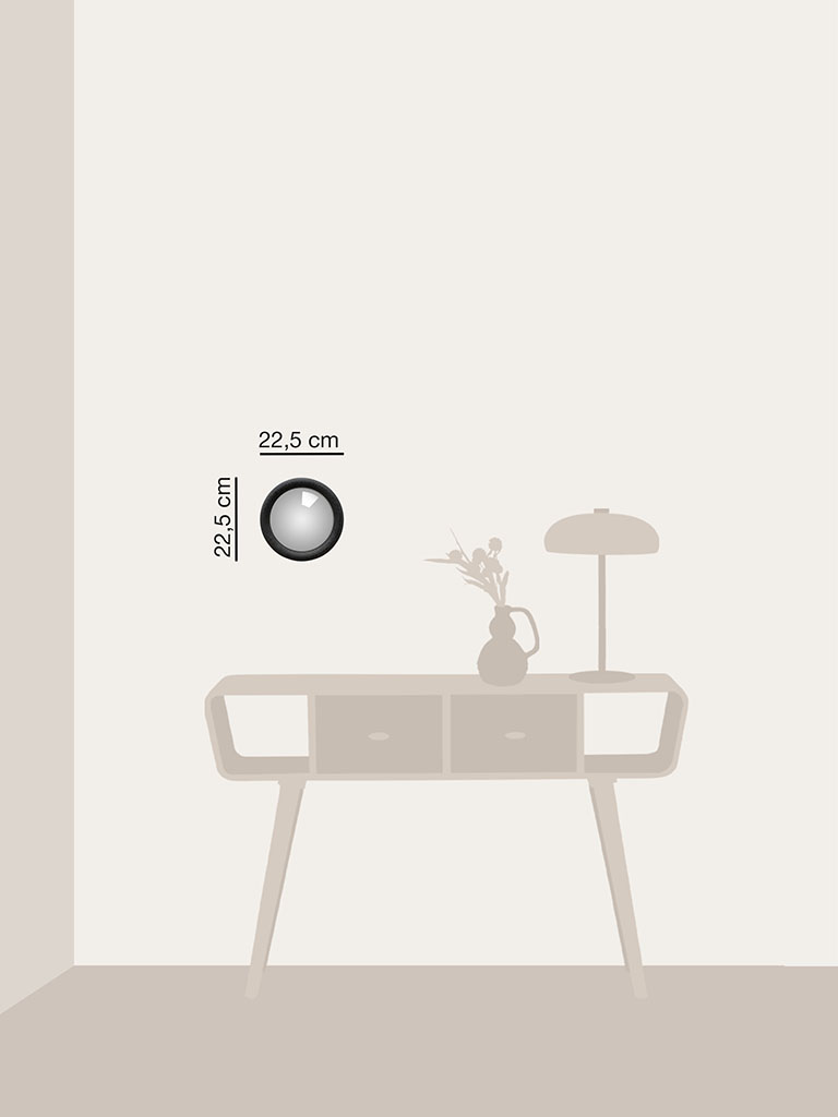 Convex mirror black snake - 3