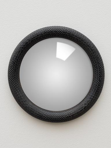 Convex mirror black snake