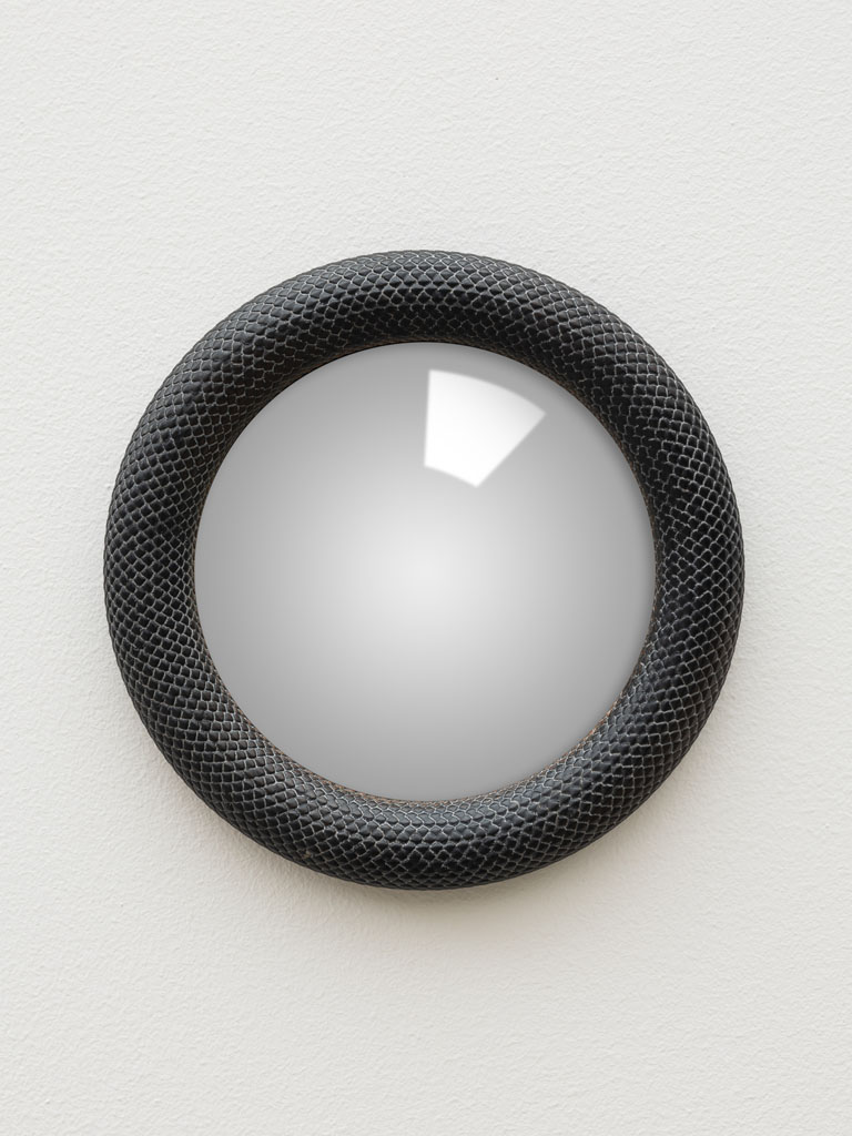 Small convex mirror black snake - 1