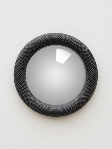 Small convex mirror black snake