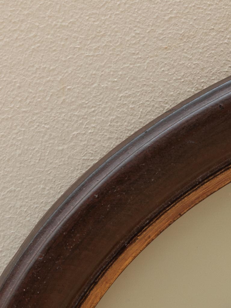 Oval frame with feline - 3