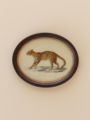Oval frame with feline