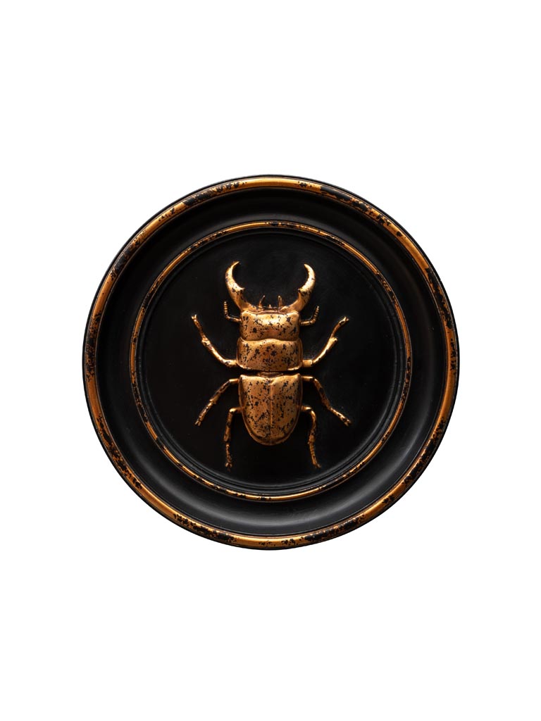 Cadre scarabée doré - 2