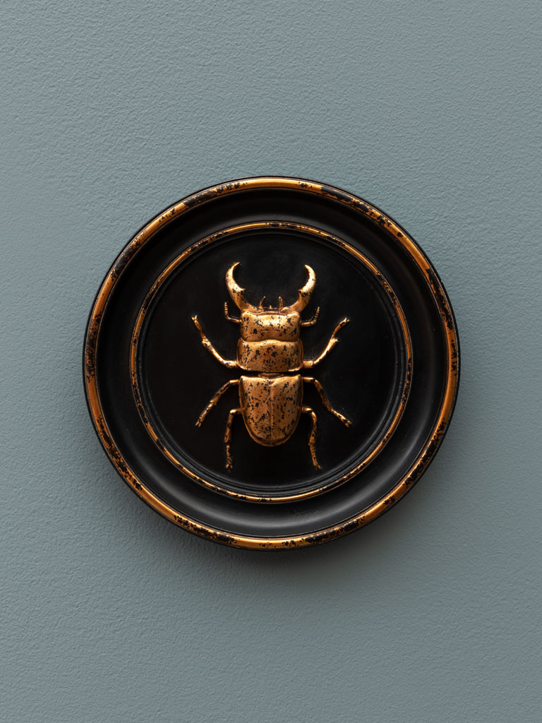 Cadre scarabée doré - 1