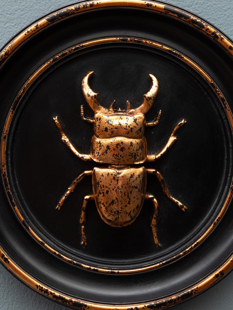 Cadre scarabée doré - 3