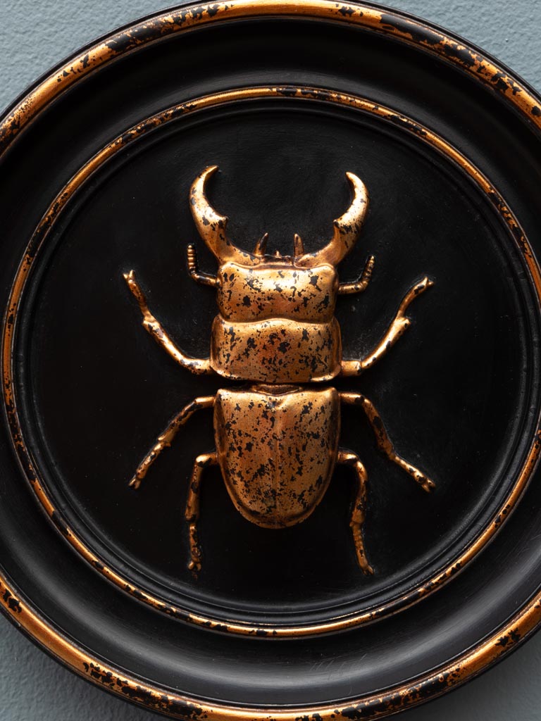 Black and gold beetle frame - 3