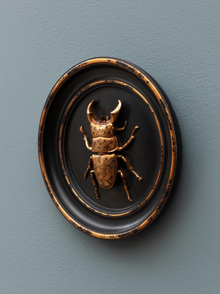 Cadre scarabée doré - 5
