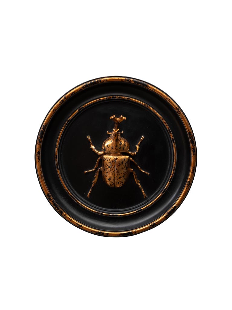 Black and gold rhinoceros beetle frame - 2