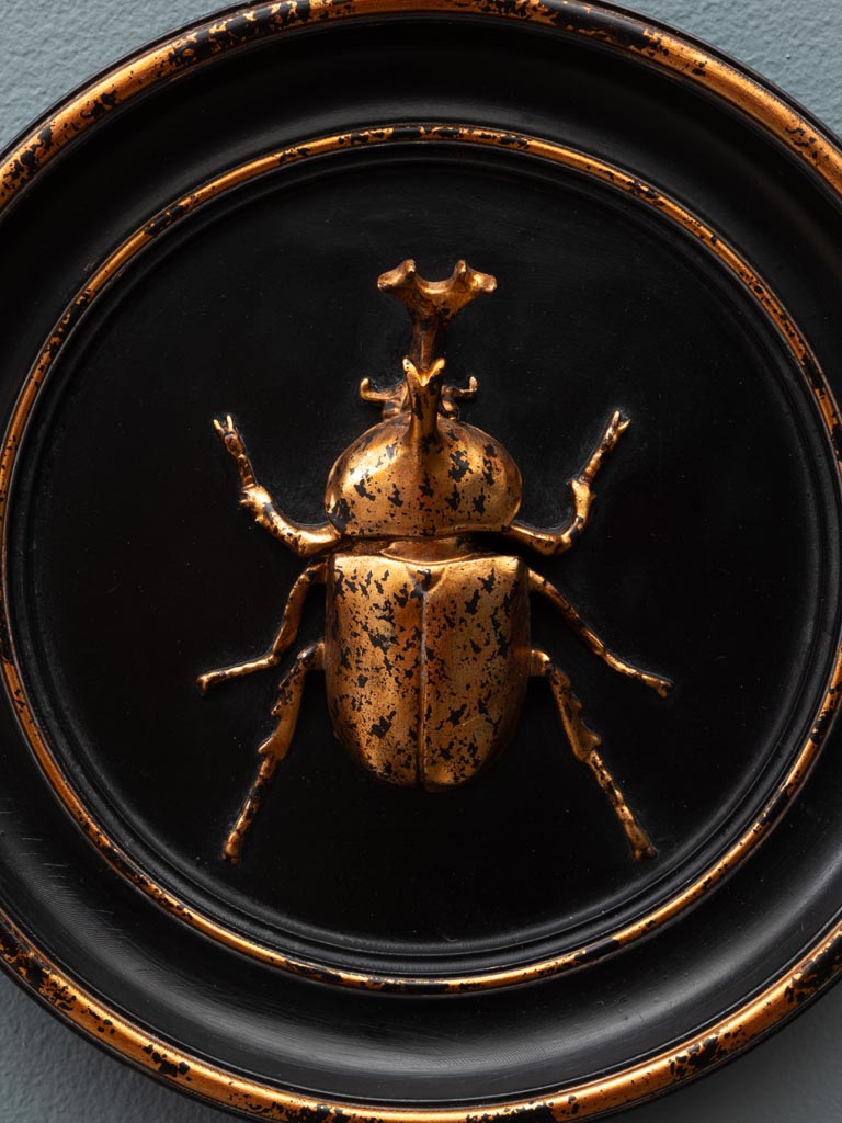 Black and gold rhinoceros beetle frame - 3