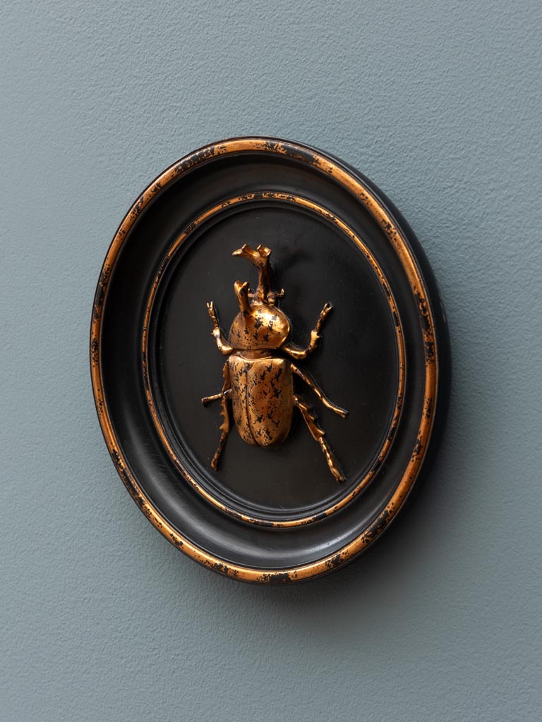 Black and gold rhinoceros beetle frame - 5