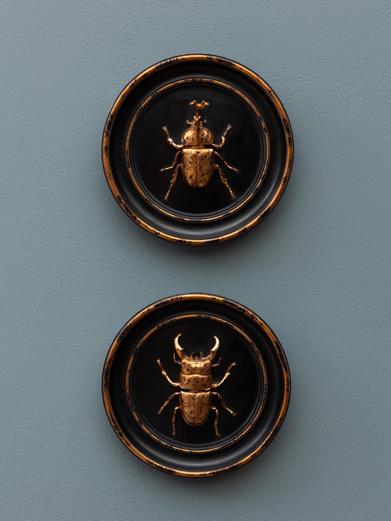 Black and gold rhinoceros beetle frame - 4