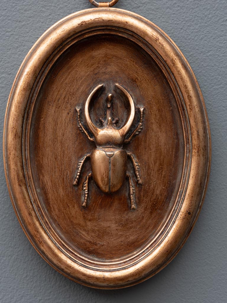 Oval copper frame with beetle A - 5
