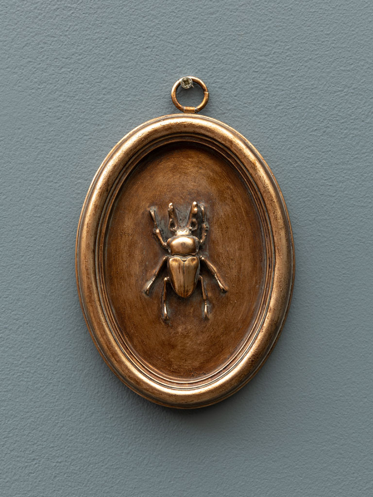 Cadre ovale cuivré scarabée B - 1