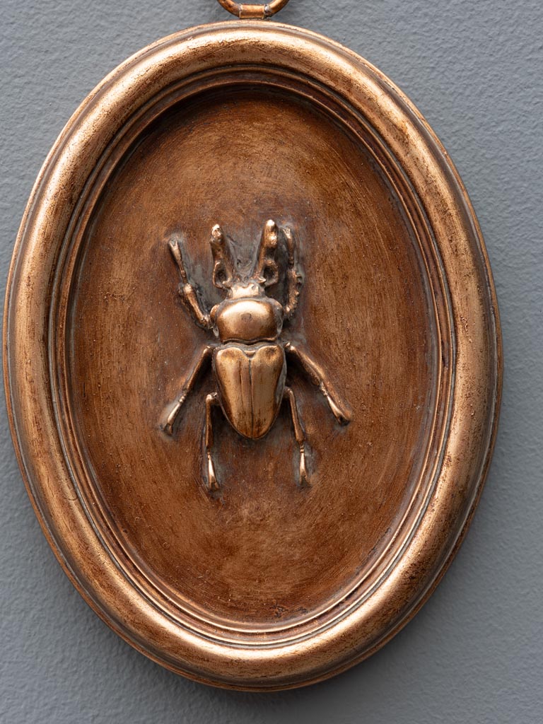 Oval copper frame with beetle B - 3