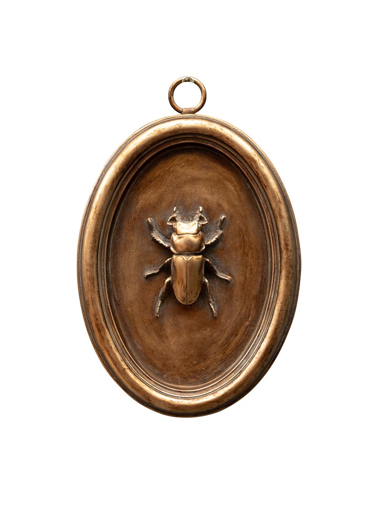 Oval copper frame with beetle C - 2