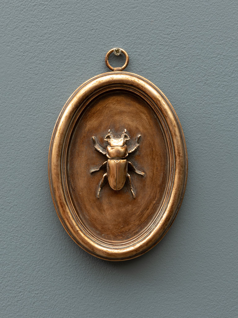 Cadre ovale cuivré scarabée C - 1