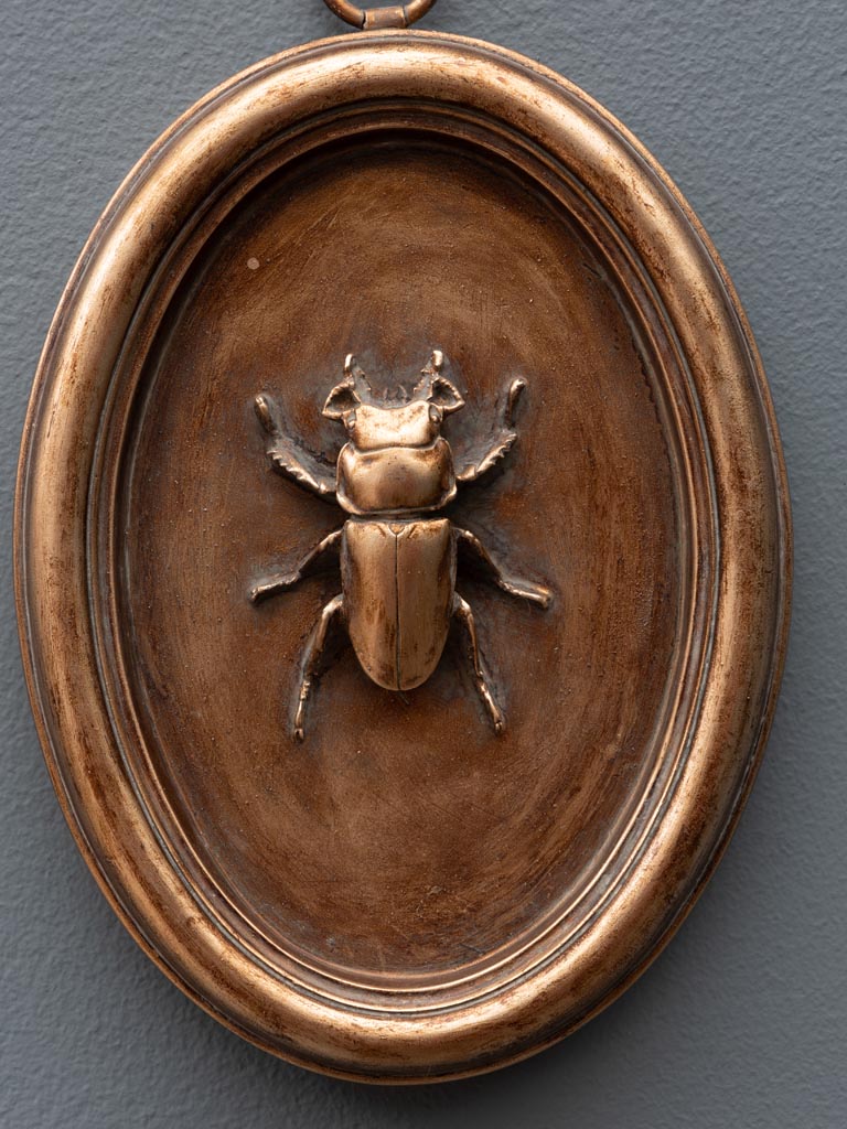 Oval copper frame with beetle C - 3