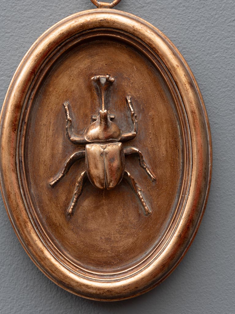 Cadre ovale cuivré scarabée D - 5
